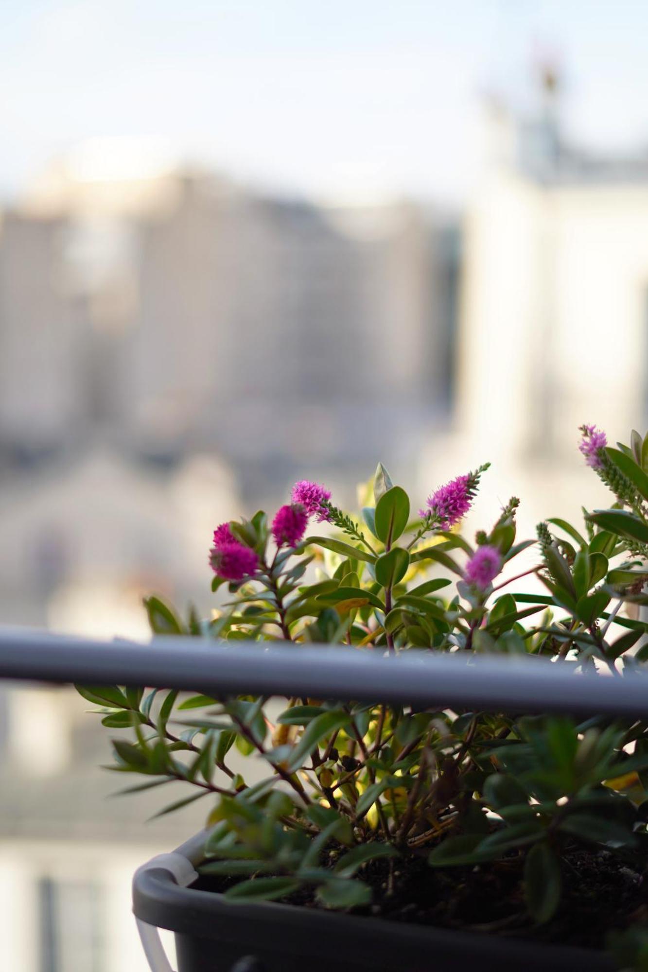 Le Montmartre Saint Pierre Hotel Parigi